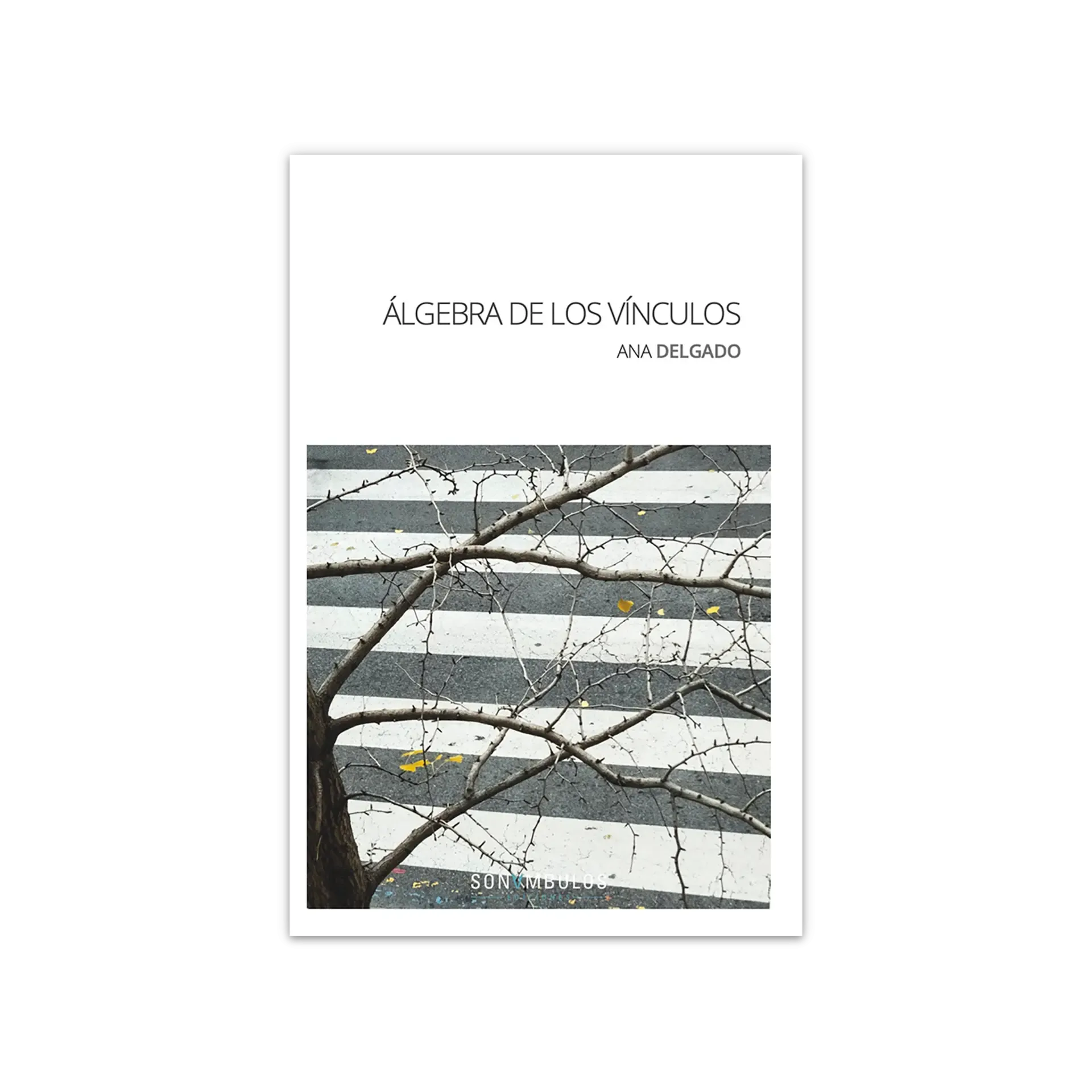 Álgebra de los vínculos