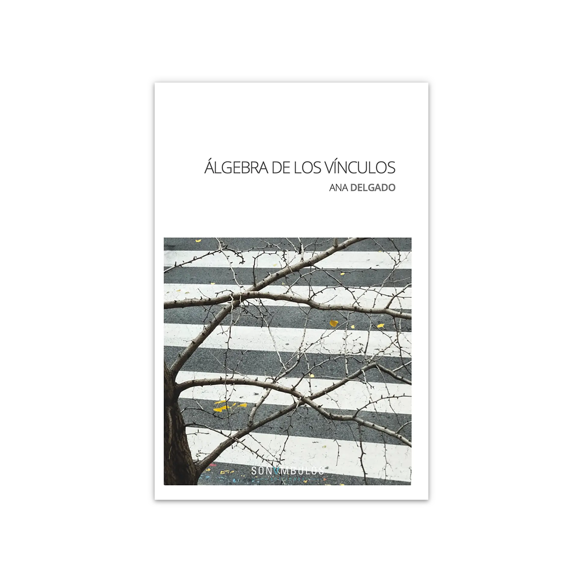 Álgebra de los vínculos