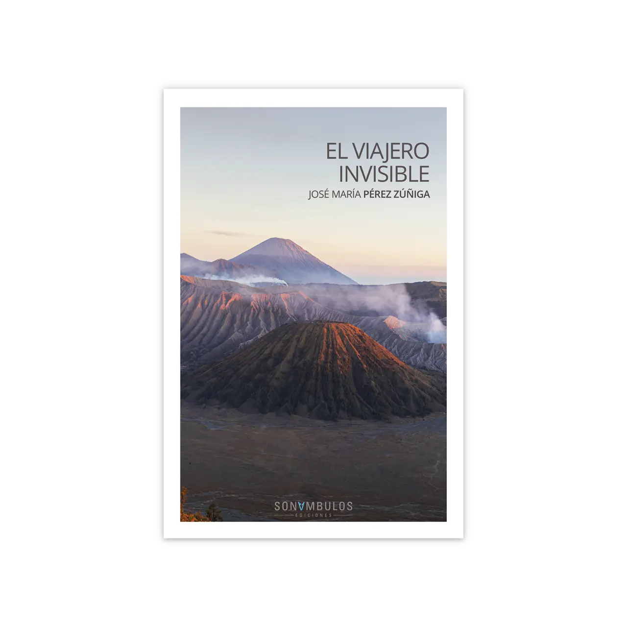 El viajero invisible