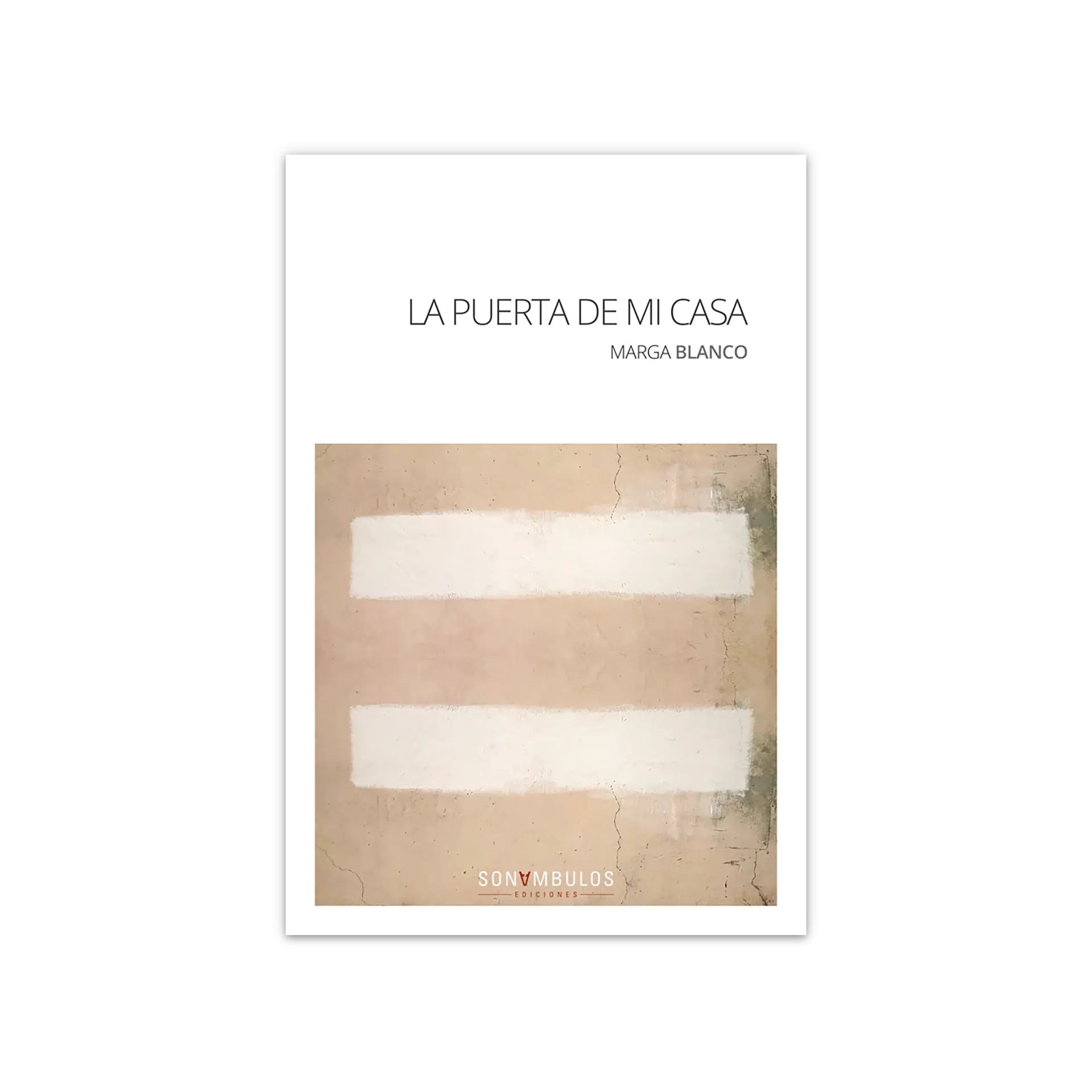 La puerta de mi casa