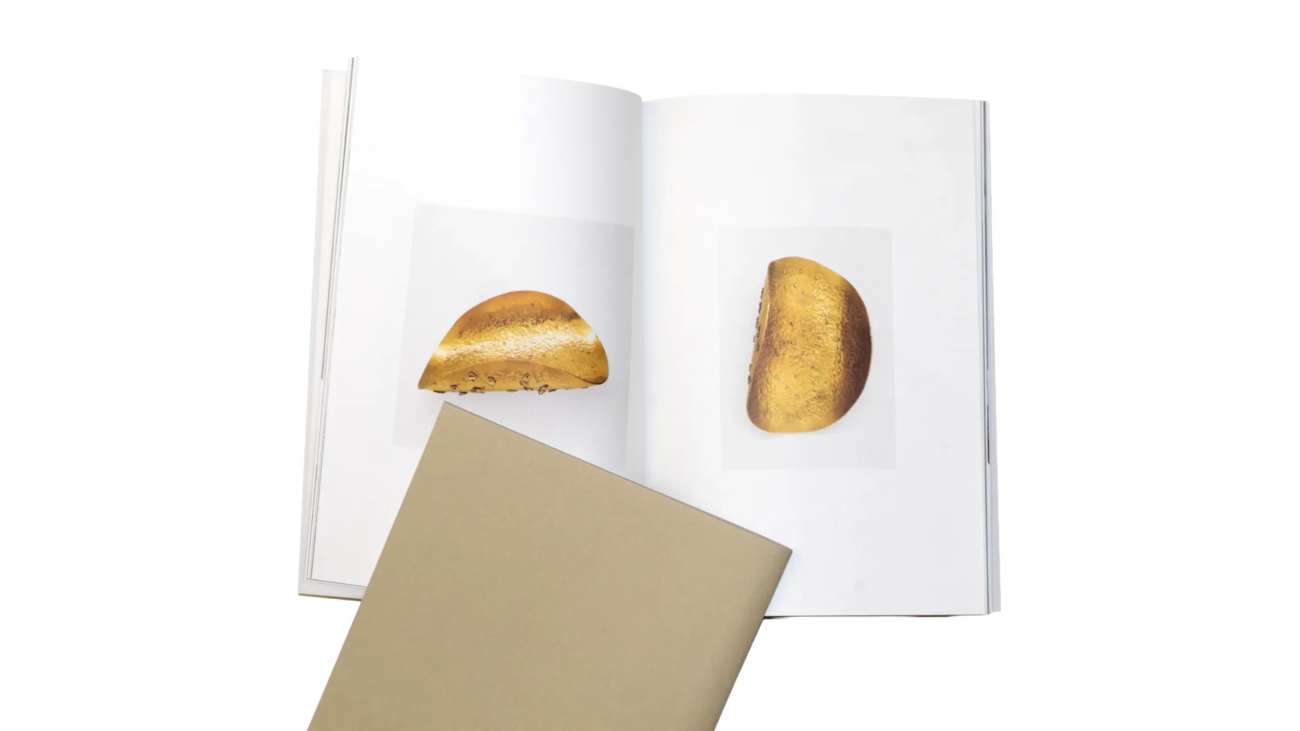 Transanlántido - Imagen adicional